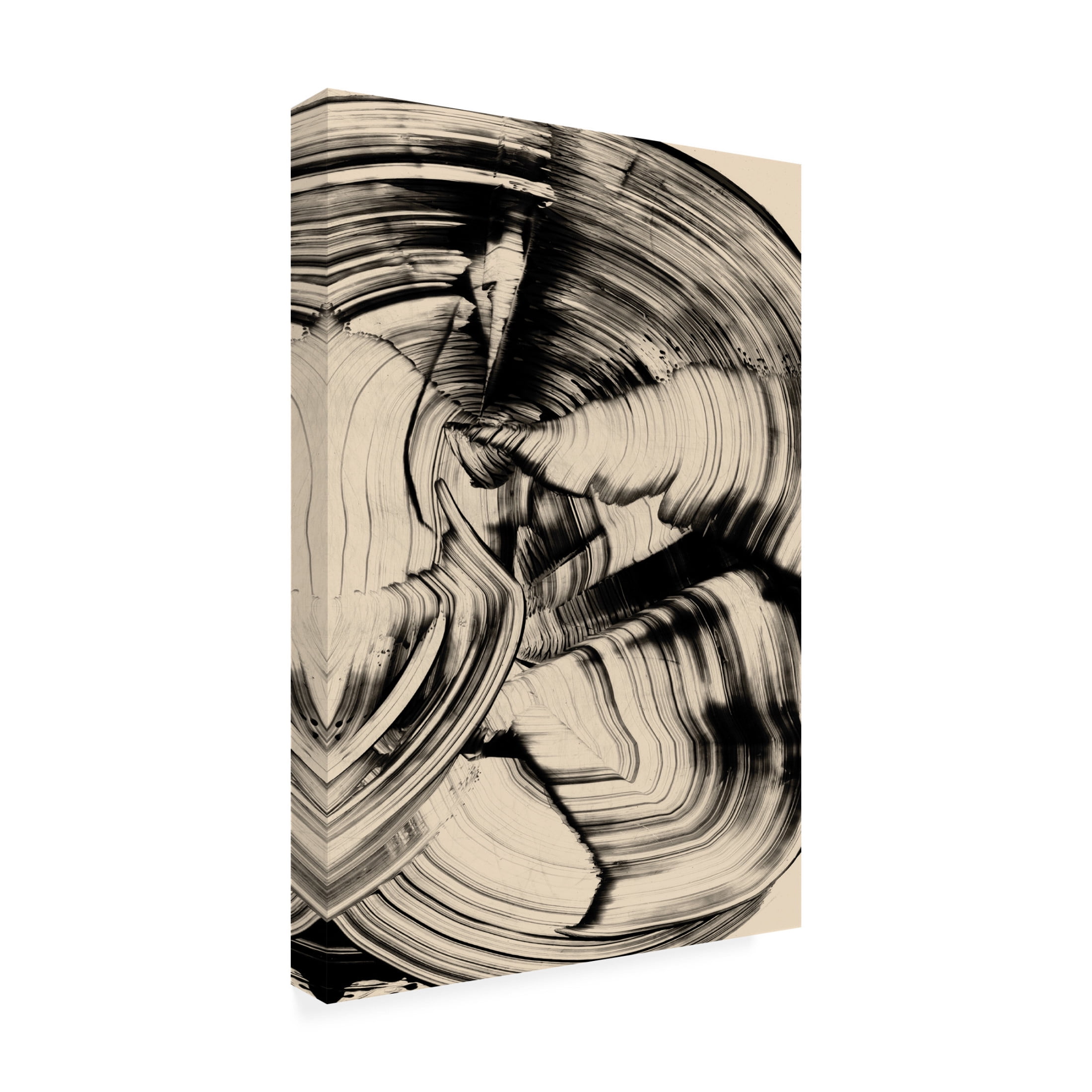 Trademark Fine Art Dan Hobday Tornado Canvas Wall Art