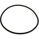 Couvercle de Crépine Matricielle O-Ring – image 1 sur 1