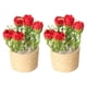 thumbnail image 1 of 2x Casa de Muñecas en Maceta Paisaje de Rosas Modelo 1:6 Decoraciones DIY Accesorios de Sala de Estar Modelo de Bonsái Artificial para Adornos de Casa, 1 of 9