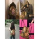 thumbnail image 2 of Bolsa de almacenamiento con estampado de leopardo de peluche de Hello Kitty Kawaii, bolsa para teléfono, bolso cruzado con cordón, lindas bolsas de hombro para guardar cosméticos para niñas, 2 of 5