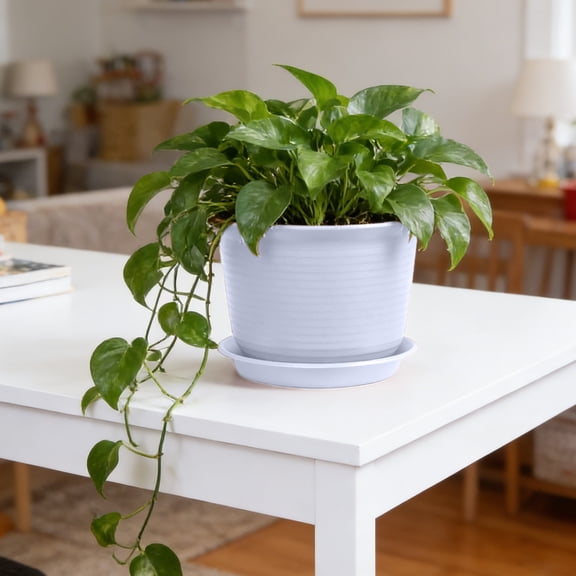 Eolstice Thickened Flower Pot, Decorative Pot with Tray, Sturdy Indoor and Outdoor er for Garden, Home, Patio, and Balcony ing(White)