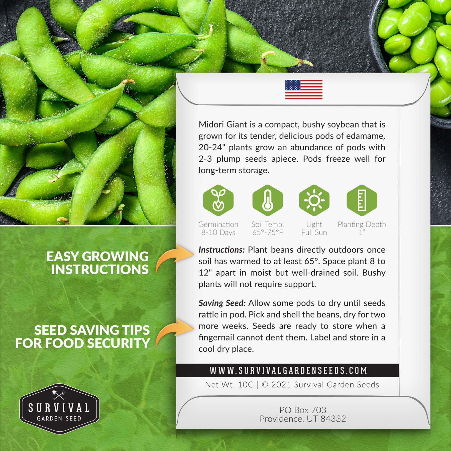 3 Packs Midori Giant Soybean - Non-GMO Heirloom Full Sun