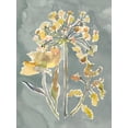 thumbnail image 2 of Art.com Collected Florals II Stretched Canvas Print Wall Art by Chariklia Zarris, 24" x 32", 2 of 4