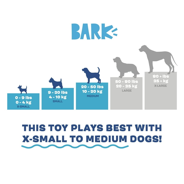 BARK Box Dam Daniel Beaver Squeaky Crinkle Plush Dog Toy, XS to