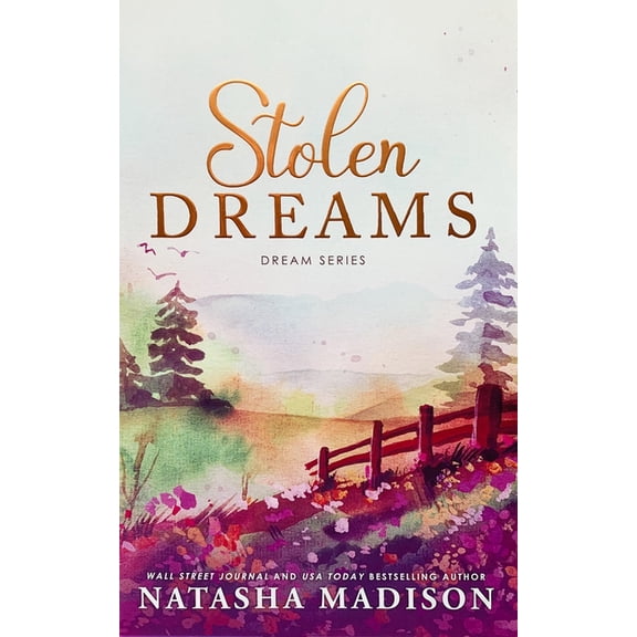 Dream Stolen Dreams, Book 4, (Paperback)