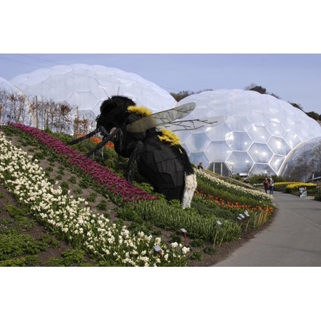 Art Sculptures Near Me Giant Bumble Bee Sculpture, Eden Project, Near St Austell, Cornwall Print Wall Art By Peter Thompson ()