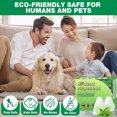 thumbnail image 4 of Vamoo~Peppermint Oil Spider RepellentBalls 10 Pack for House Garage to Get Rid of Spiders Outdoor Indoor– Natural Deterrent for Home, Garage, Car, 4 of 7