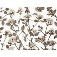 thumbnail image 3 of Frank, Assaf 18x15 Black Modern Framed Museum Art Print Titled - Viburnum Juddii flowers, 3 of 5