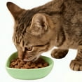 thumbnail image 3 of BPPEG Sturdy Leak-Proof Ceramic Cat Bowl,Slow Feeder for Proper Food Storage,Green, 3 of 7