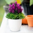 thumbnail image 5 of 2PCS Artificial Potted Small Greenery,Realistic Mini with Flowers for Indoor Home Decor,Desktop Table Centerpiece for Bathroom,Farmhouse Displays,Mother's Day,Christmas Gifts, 5 of 6