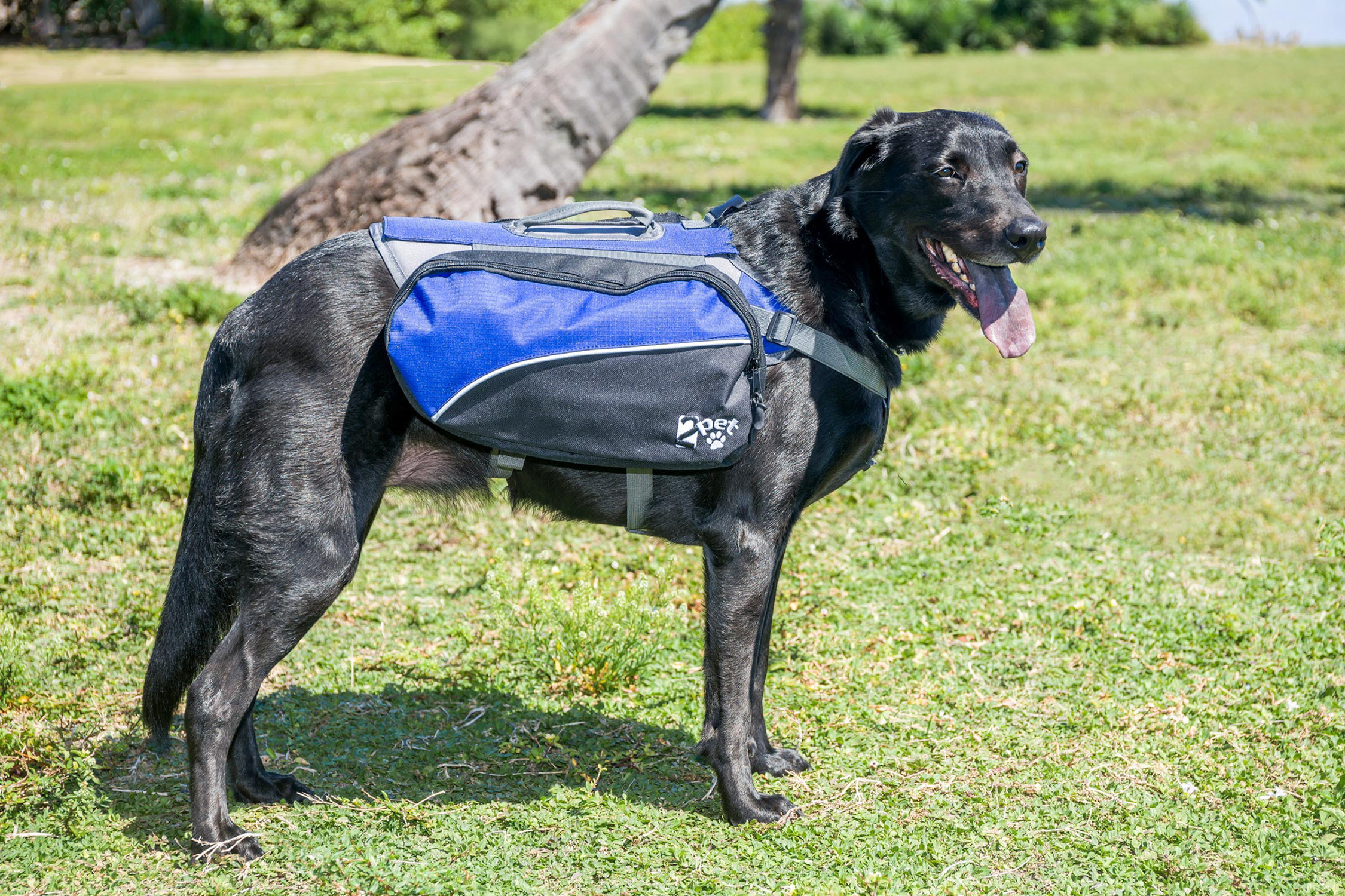 すので 2PET Dog Backpack for Hiking Compact Dog Saddlebag for Dogs ...