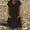Black, variant on Idoravan Summer Dresses for Women Clearance Fashion Women Summer Casual Solid Dress V-Neck Short Sleeve Loose Dress