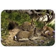 thumbnail image 1 of Carolines Treasures BDBA0136LCB Rabbits & the Rabbit Hole Glass Large Cutting Board, 1 of 2