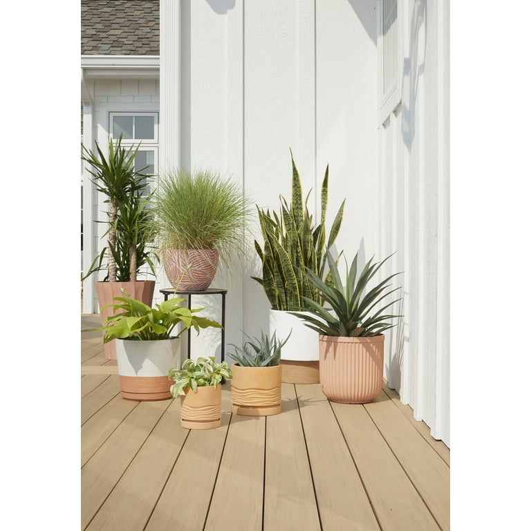 Buy online Toronto M Planter with Metal Stand - A planter with height 