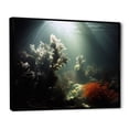 thumbnail image 2 of Designart "Illuminated Subaquatic Serenity" Coastal Coral Under Water Floater Framed Canvas Art Print, 2 of 5