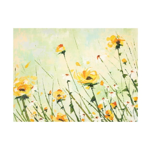 Canvas Wall Art - Emma Coghlan 'Chrysanthemum and Daisy Field' Wall Art for Living Room, Bedroom, or Office Décor by Trademark Fine Art - 19 x 14 Inches