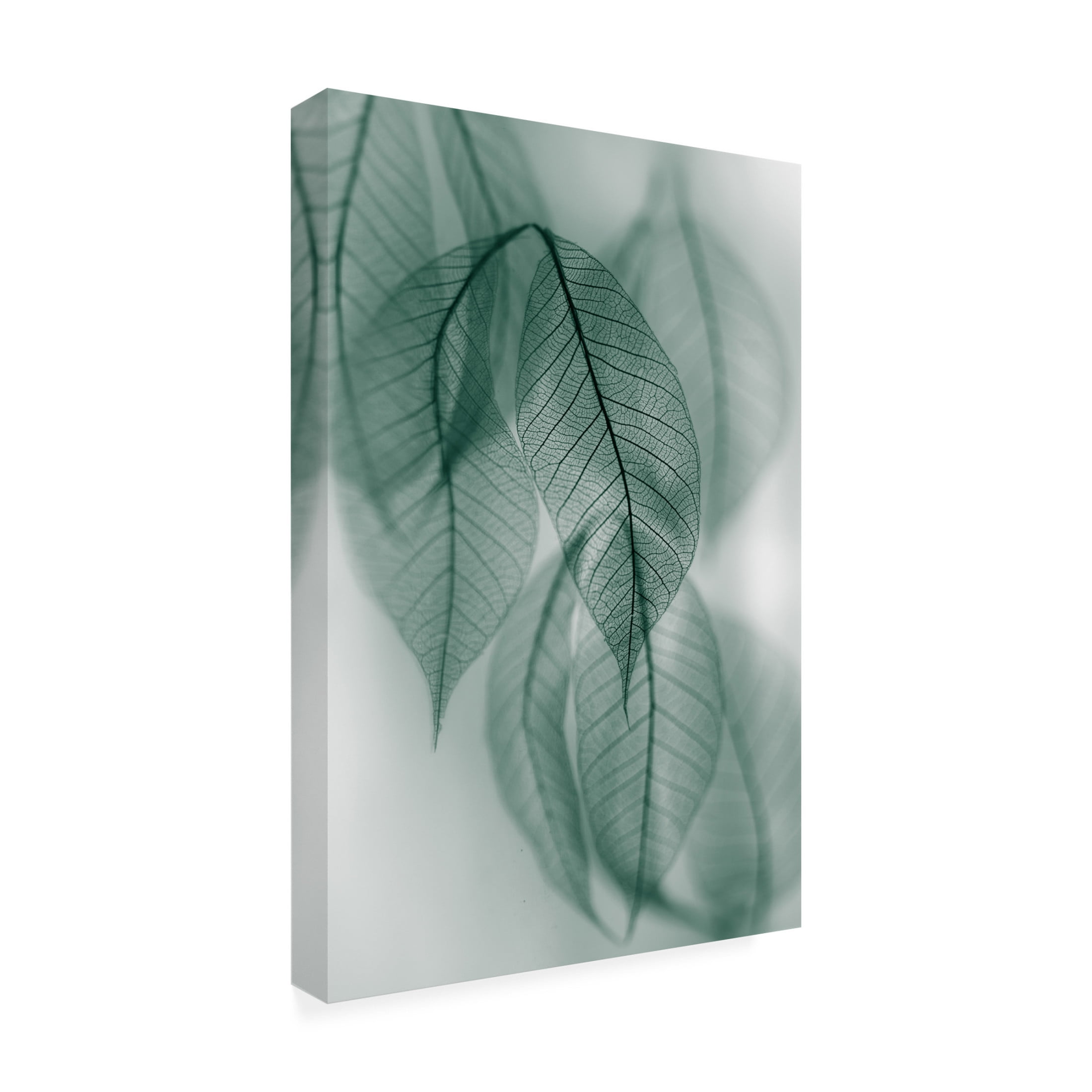 Canvas Wall Art - Shihya Kowatari 'Leaf' Wall Art for Living Room, Bedroom, or Office Décor by Trademark Fine Art - 22 x 32 Inches