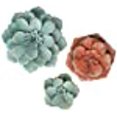 thumbnail image 3 of Stratton Home Decor S21041 Stunning Tricolor Metal Flowers, Multicolor - Set of 3, 3 of 5