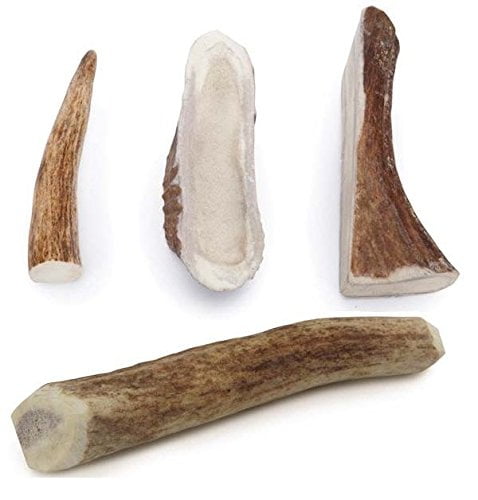 ELK ANTLER DOG DENTAL CHEWS Natural Way to Clean Your Dog's Teeth Bulk ...