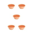 thumbnail image 1 of Maceta para suculentas Inteprter bandeja para flores accesorio transpirable para bricolaje naranja Negro Transparente, 1 of 6