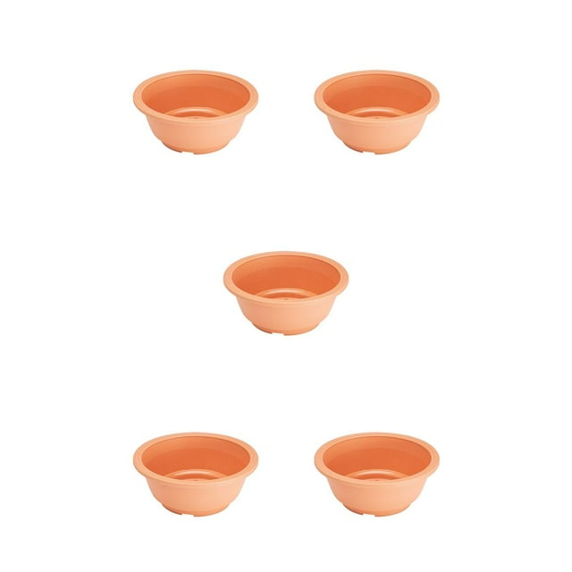 Maceta para suculentas Inteprter bandeja para flores accesorio transpirable para bricolaje naranja Negro Transparente