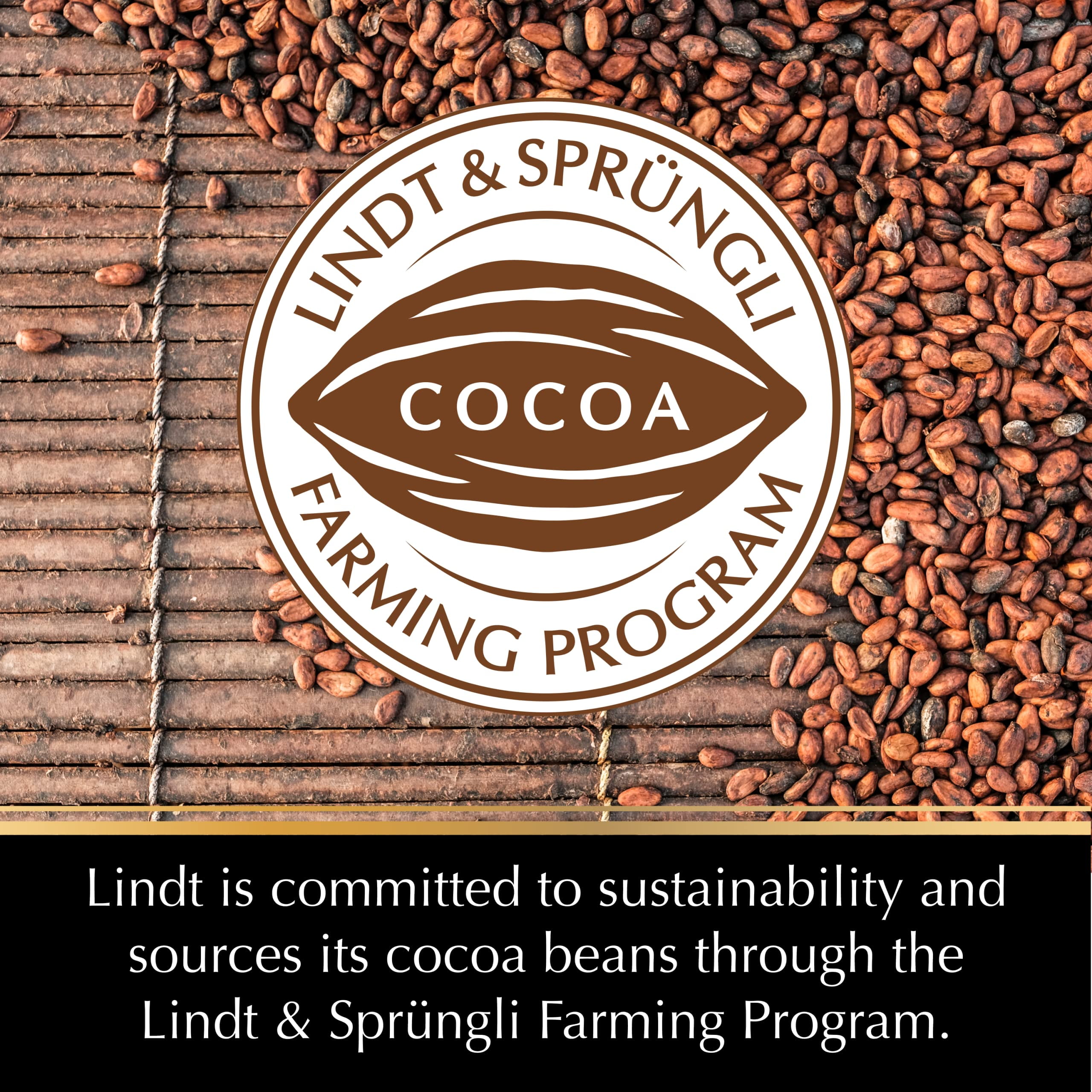 Lindt Excellence Bar, 70% Cocoa Smooth Dark Chocolate, Gluten Free, Great for Holiday Gifting, 3.5 Ounce (Pack of 12)