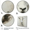 thumbnail image 3 of Designart "Alpine Goat Portrait in White Echoes" Animals Wall Art - Modern White Goat Living Room Canvas Art, 3 of 6