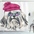 thumbnail image 1 of Ambesonne Indie Shower Curtain, Lowchen Dog Glasses Hat, 69"Wx70"L, Grey Pink Blue, 1 of 3