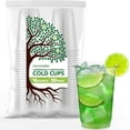 TRAHOO16 oz Clear Commercially Compostable Cold Cups (50 Pack) Plant