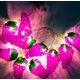 thumbnail image 3 of Cadena de luz en forma de fruta Navidad jardín decoración linterna Gr, 3 of 5