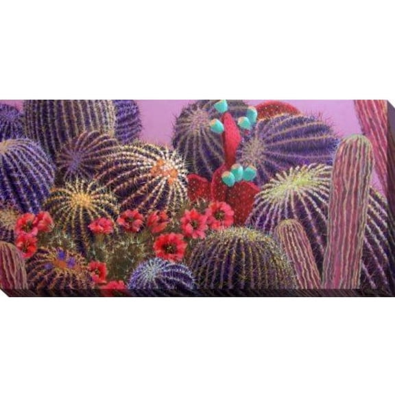 Outdoor Living and Style Purple and Red Evening Cactus Outdoor Canvas Rectangular Wall Art Decor 24"