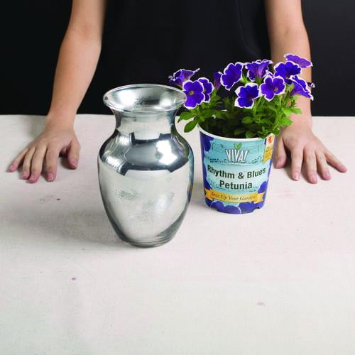 Specialty Mirror Effect Spray Paint, High Gloss Mirror, 6 oz Aerosol Can, 6/Carton | Bundle of 2