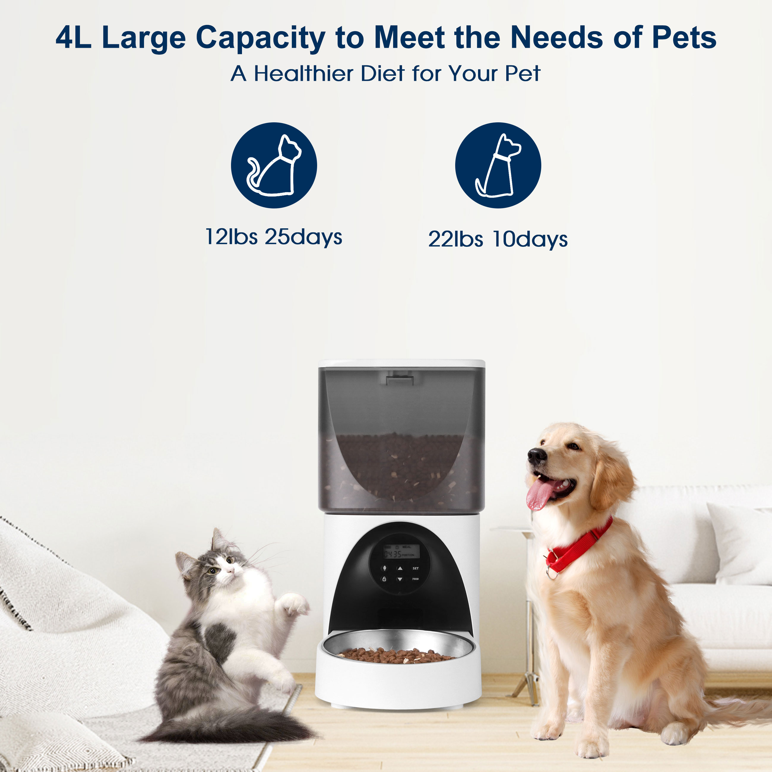 Cobectal 4L Automatic Cat and Dog Pet Feeder, Cat Food dispenser With Stainless Steel Bowl, Black