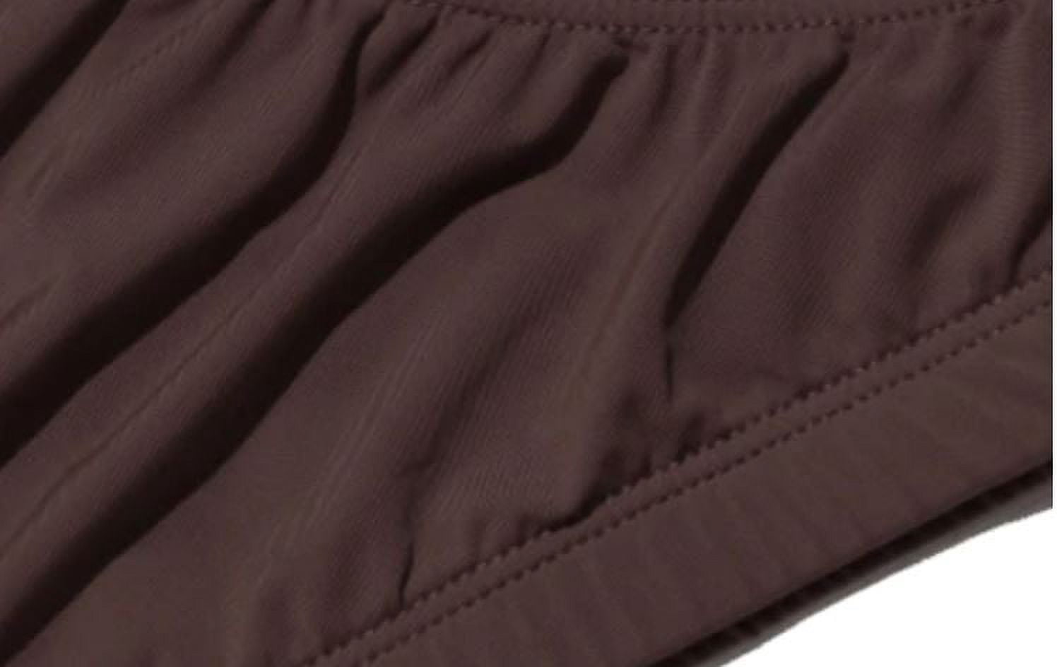 Elita Women's 'Silk Magic' Microfiber High Cut Panty with Full Coverage