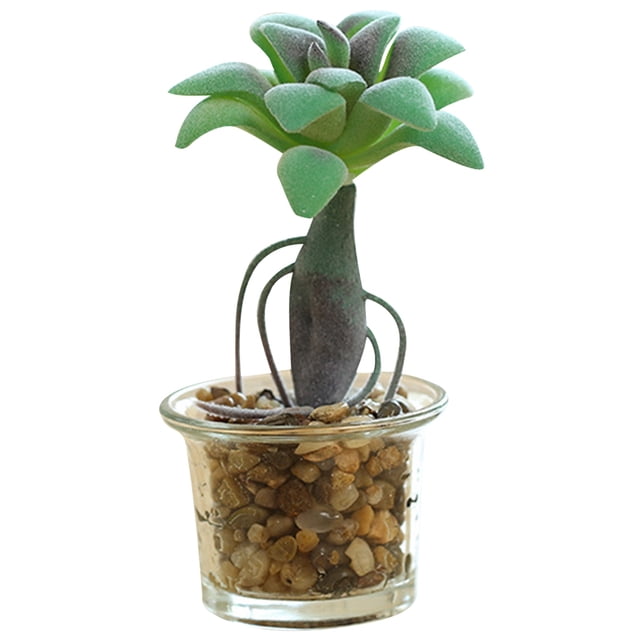 Coofit Artificial Succulent Plant Mini - Faux Potted Succulent Home Desktop Decoration