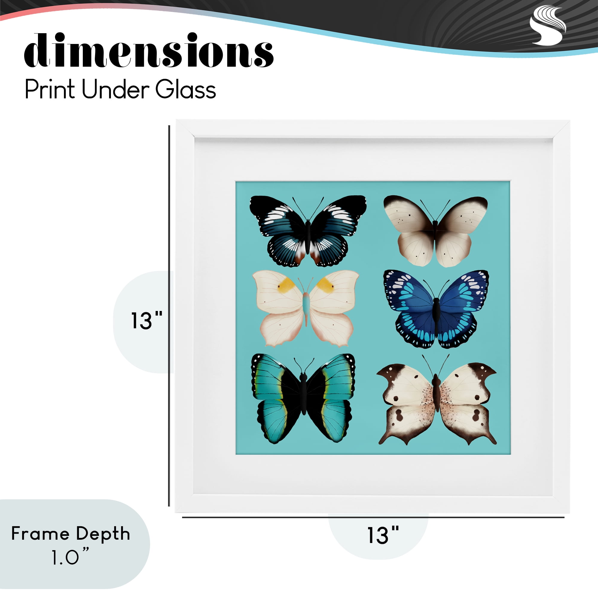 Stupell Industries Six Diverse Butterflies on Turquoise White Framed Print Under Glass, design by Metka Hiti