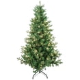 thumbnail image 3 of Kurt Adler 5-Foot Pre-Lit Clear Incandescent Jackson Pine Tree, 3 of 4