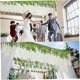 thumbnail image 4 of 12pack Artificial Wisteria Flowers, Garland Plant Fake Hanging Flowers Vine, For Wedding Garden Home Party Decor, 4 of 5
