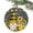 Black, variant on Bee Dwarf Watercolor Sunflower Christmas Ceramic Ornament 2025,3" Round Xmas Tree Hanging Accessories with Gold Ribbon