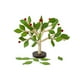 thumbnail image 1 of Juguete de árbol extraíble con piezas e insertables, juguete de aprendizaje temprano para niños, juguete educativo (verde), 1 of 8