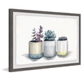 thumbnail image 2 of Parvez Taj Three Potted Succulents Framed Painting Print, 2 of 6