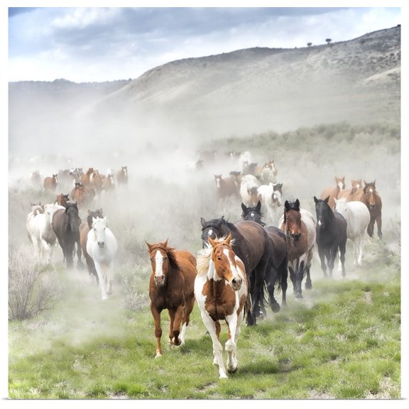 Great BIG Canvas | Rolled PH Burchett Poster Print entitled Stampede II