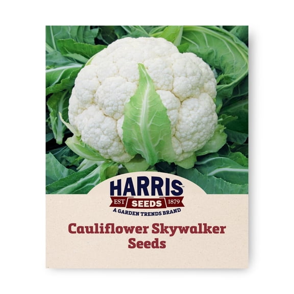 Harris Seeds 50 Skywalker Cauliflower Plant Seeds, Non-GMO