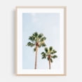 thumbnail image 2 of Barcelona Palms 03 - Barcelona Catalonia Spain Photography Palm Tree Tropical Beach Minimalist Summer Nature Coastal Unframed Wall Art Print 18 x 24 inches, 2 of 60