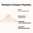 thumbnail image 2 of Micro Ingredients Multi Collagen Peptides Powder, Full Spectrum Type I, II, III, V, X + Biotin, Hyaluronic Acid, & Vitamin C, Unflavored, Keto & Paleo Friendly, 12 Ounces, 2 of 6