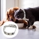 thumbnail image 5 of Collar de perlas para perros y gatos, ajustable, de cuero, con correa, 5 of 7