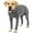 Grey, variant on UOSIA Dog Onesie After Surgery Recovery Suit Female Male Neuter Dogs Pet Body Suits