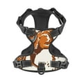 thumbnail image 4 of Lsque Cowboy Riding Horse Dog Harness, No-Pull Pet Harness with 2 Leash Clips, Adjustable Soft Padded Dog Vest with Easy Control Handle for Large Dogs-Medium, 4 of 9