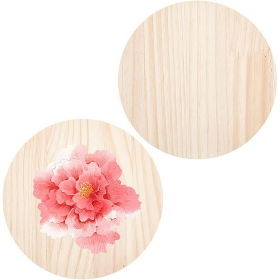 2pcs 7inch Round Wooden Plaques for Craft Projects Natural Pine Unfinished Wood Plaque Great Wood Base