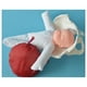 thumbnail image 1 of Modelo de anatomía de pelvis femenina tamaño real Hugo, 1 of 10